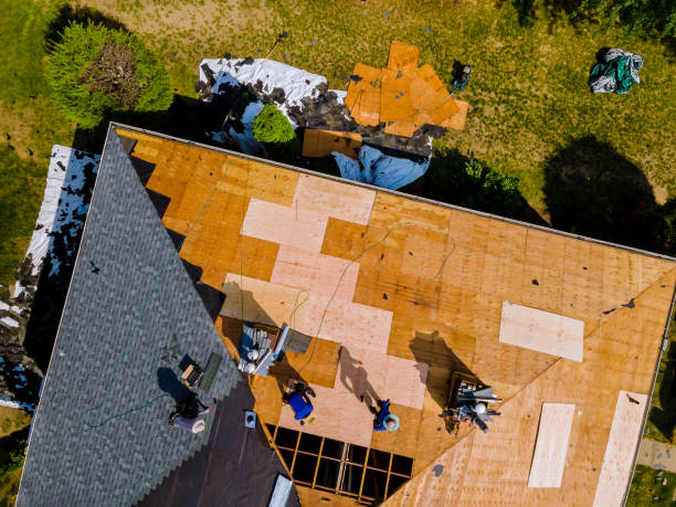 Best Roof Gutter Cleaning  in Independence, LA